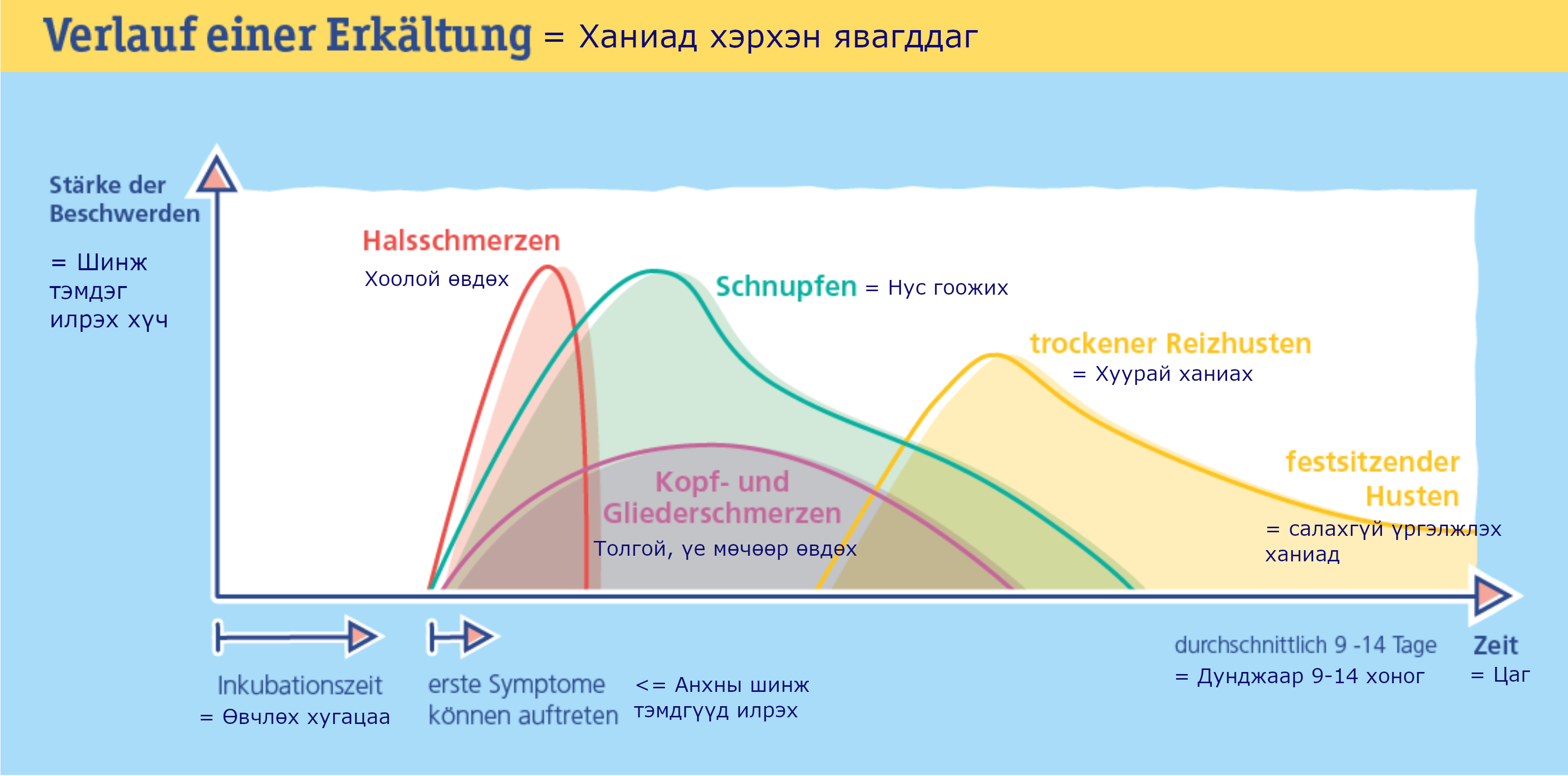 verlauf-einer-erk%C3%A4ltung-mongol