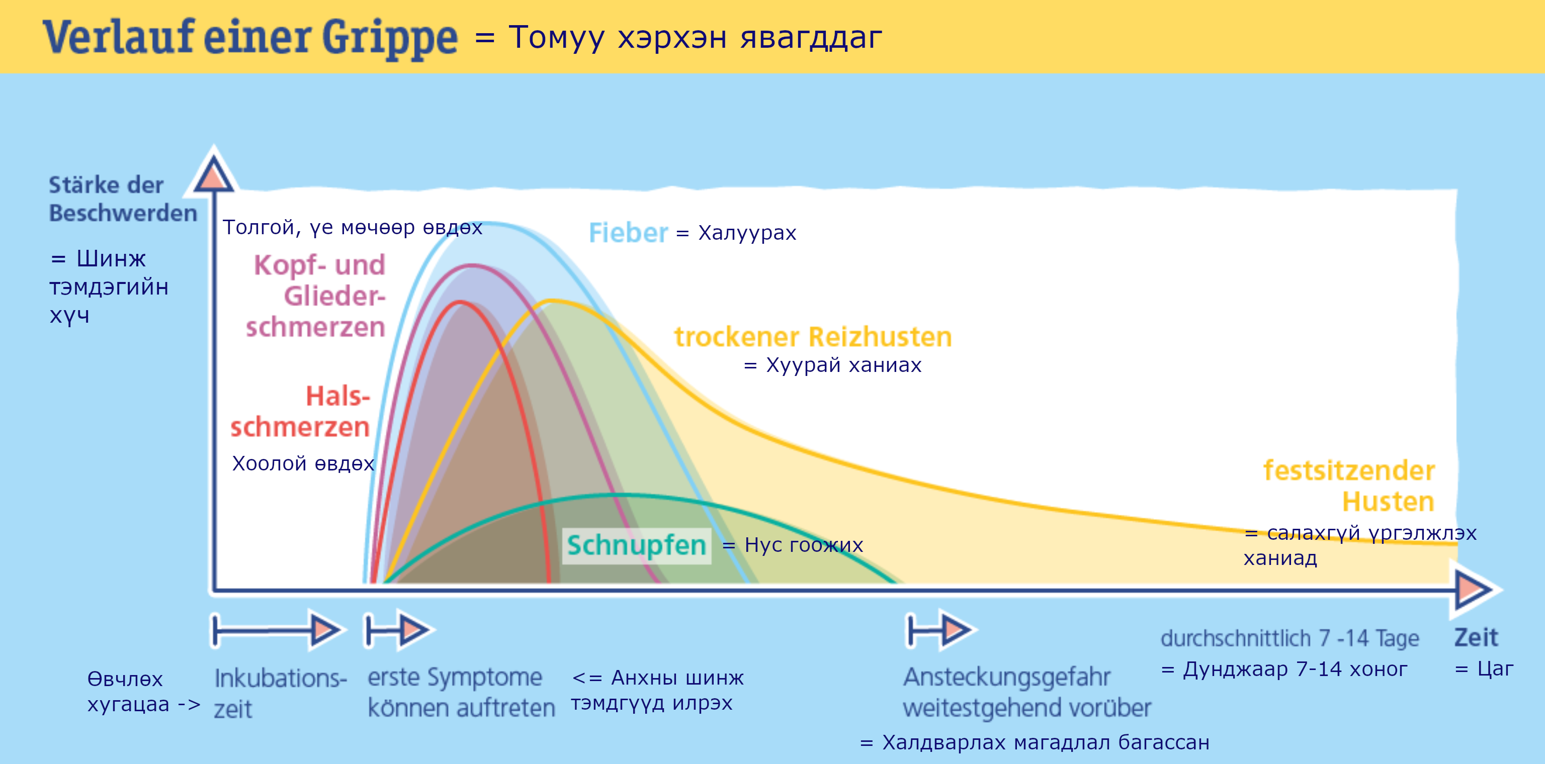 verlauf-einer-grippe-mongol